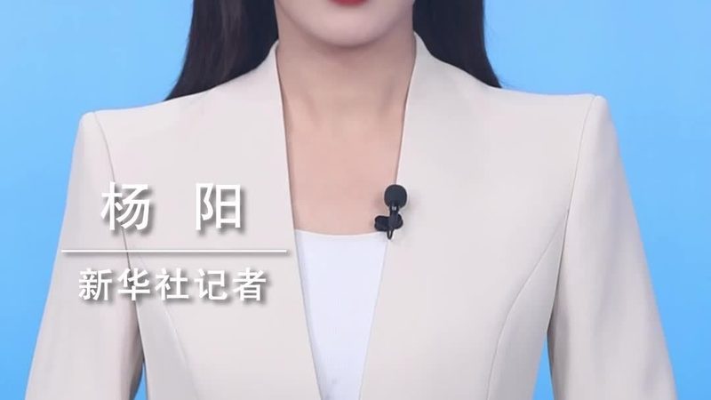企业搜索技术架构：如何解析其差异与选择